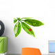 Ladybug Sitting on a Fresh Green Leaf Wall Decal