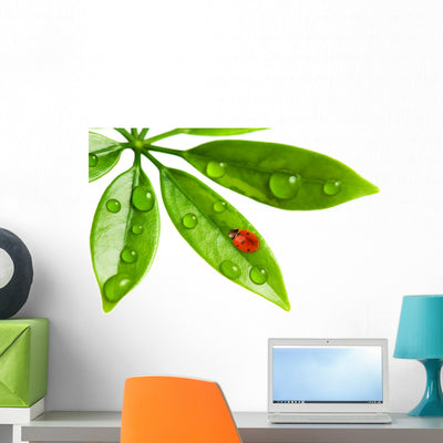 Ladybug Sitting Fresh Green Wall Decal shown on a wall
