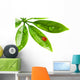 Ladybug Sitting on a Fresh Green Leaf Wall Decal