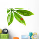 Ladybug Sitting on a Fresh Green Leaf Wall Decal