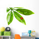Ladybug Sitting on a Fresh Green Leaf Wall Decal