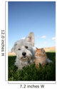 Hund und Katze Wall Mural