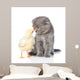 Small Chicken and Kitten Wall Mural