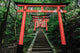 Fushimi Inari Shrine Kyoto Wall Decal
