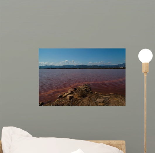 Red Sea Wall Mural
