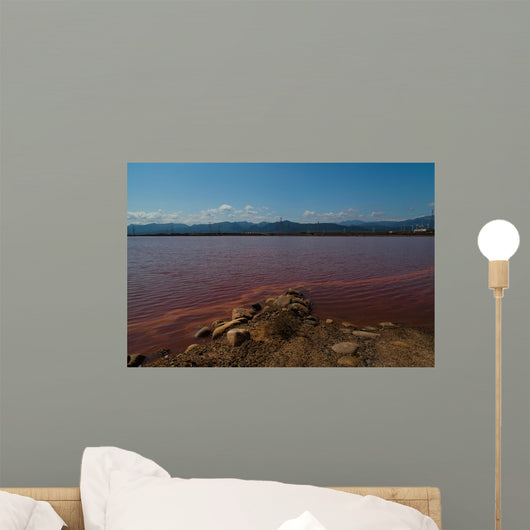 Red Sea Wall Mural