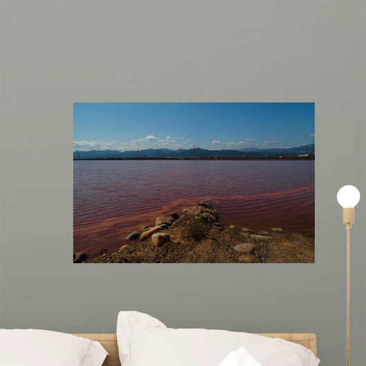 Red Sea Wall Mural