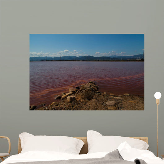 Red Sea Wall Mural