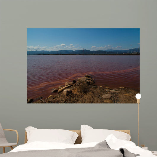 Red Sea Wall Mural