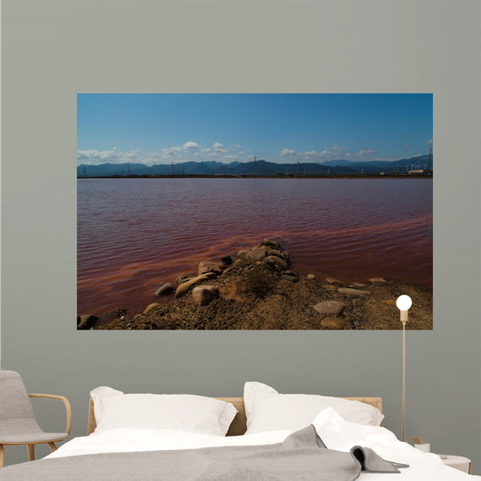 Red Sea Wall Mural
