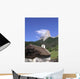 0477 Chapel Mt Needle Wall Mural