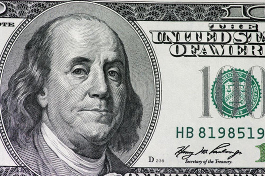 One Hundred Dollar Wall Mural