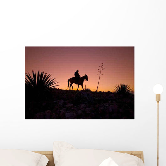 Horseback Rider Sunset Sunrise Wall Mural
