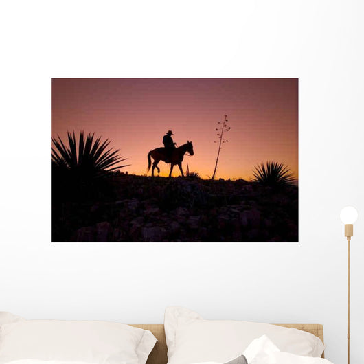Horseback Rider Sunset Sunrise Wall Mural