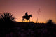 Horseback Rider Sunset Sunrise Wall Mural