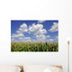 Corn Tasseling Field Wall Mural