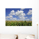 Corn Tasseling Field Wall Mural