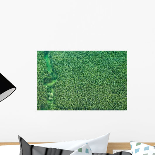Big Island Aerial Shot Wall Decal Design 1