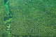 Big Island Aerial Shot Wall Decal Design 1