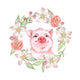 Some Happy Floral Pig Wall Decal