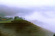 Terrace and Frog Wall Mural