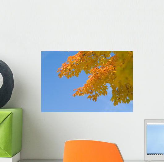 Yellow and Orange Leaves Wall Mural