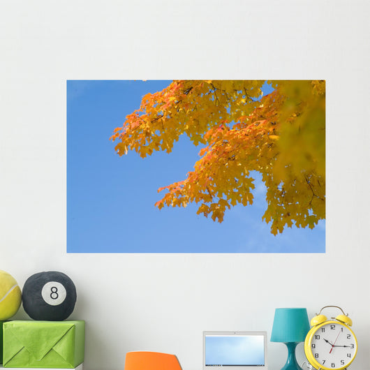 yellow and orange leaves against blue sky Wall Mural