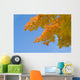 yellow and orange leaves against blue sky Wall Mural
