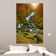 Torc Waterfall Autumn Killarney Wall Mural