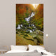 Torc Waterfall Autumn Killarney Wall Mural