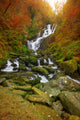 Torc Waterfall Autumn Killarney Wall Mural