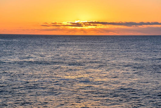 Sea Tropical Sunset Wall Mural