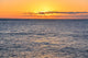 Sea Tropical Sunset Wall Mural
