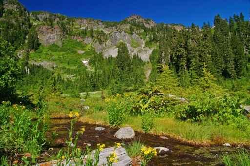 Mountain Meadow Wall Decal Design 2