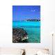 Turquoise Water Caribbean Wall Mural