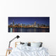Chicago skyline at night Wall Mural