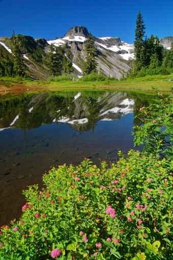 Peak Reflections Wall Decal Design 2
