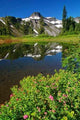 Peak Reflections Wall Decal Design 2