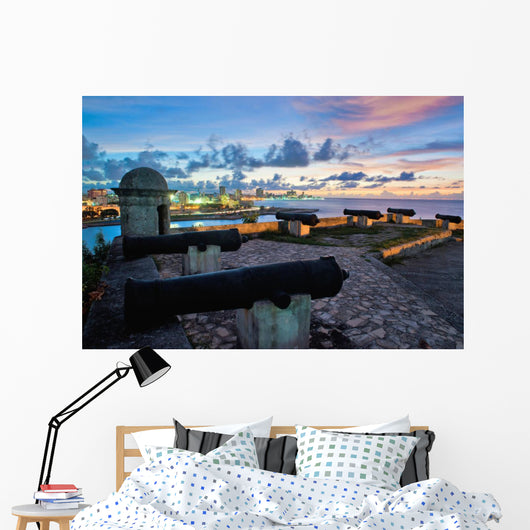 Havana Skyline and Bay Wall Mural