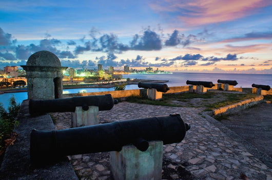 Havana Skyline and Bay Wall Mural