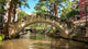 Bridge San Antonio River Wall Decal