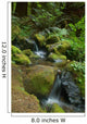 Waterfall in the Forest Wall Mural