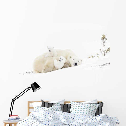 Polar Bear Mommy Wall Decal