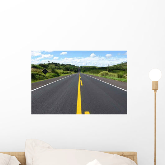 Highway through Trees Wall Mural