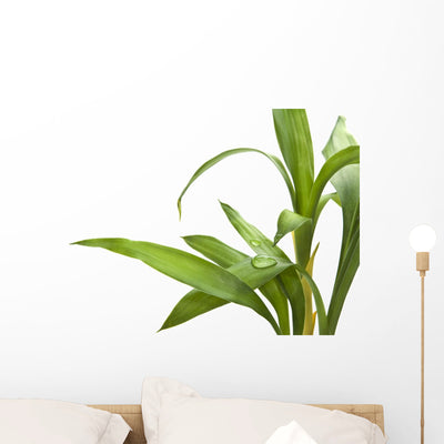 Bamboo Leaves Wall Decal shown on a wall