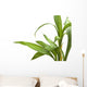 Bamboo Leaves Wall Decal