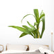 Bamboo Leaves Wall Decal