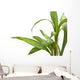 Bamboo Leaves Wall Decal
