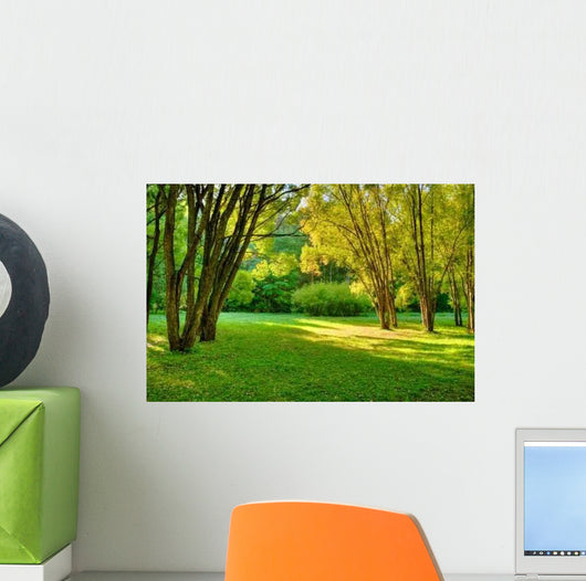 Morning Forest Wall Mural