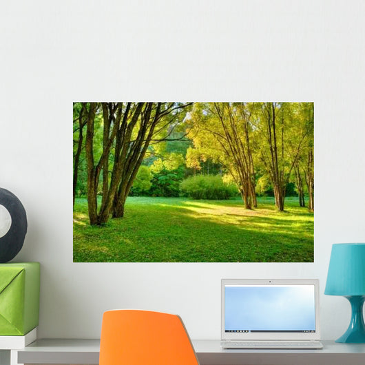 Morning Forest Wall Mural